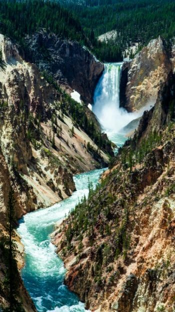 Grand Canyon of the Yellowstone Featuring Lower falls in Yellowstone National Park